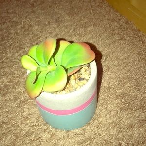 Decorating plant